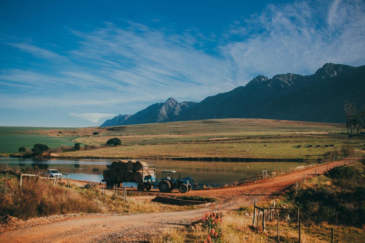 Вилла Appelsbosch Guest Farm Свеллендам Экстерьер фото