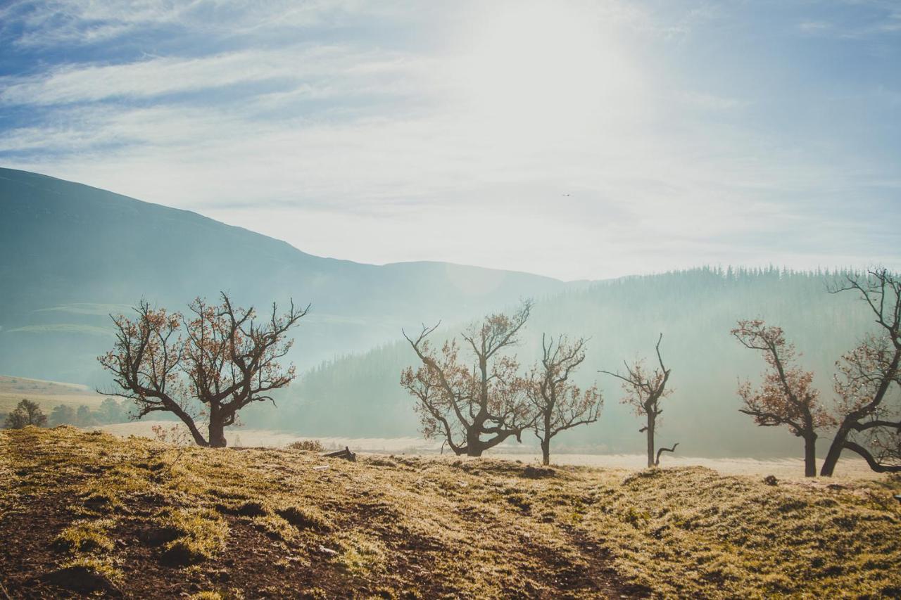 Вилла Appelsbosch Guest Farm Свеллендам Экстерьер фото