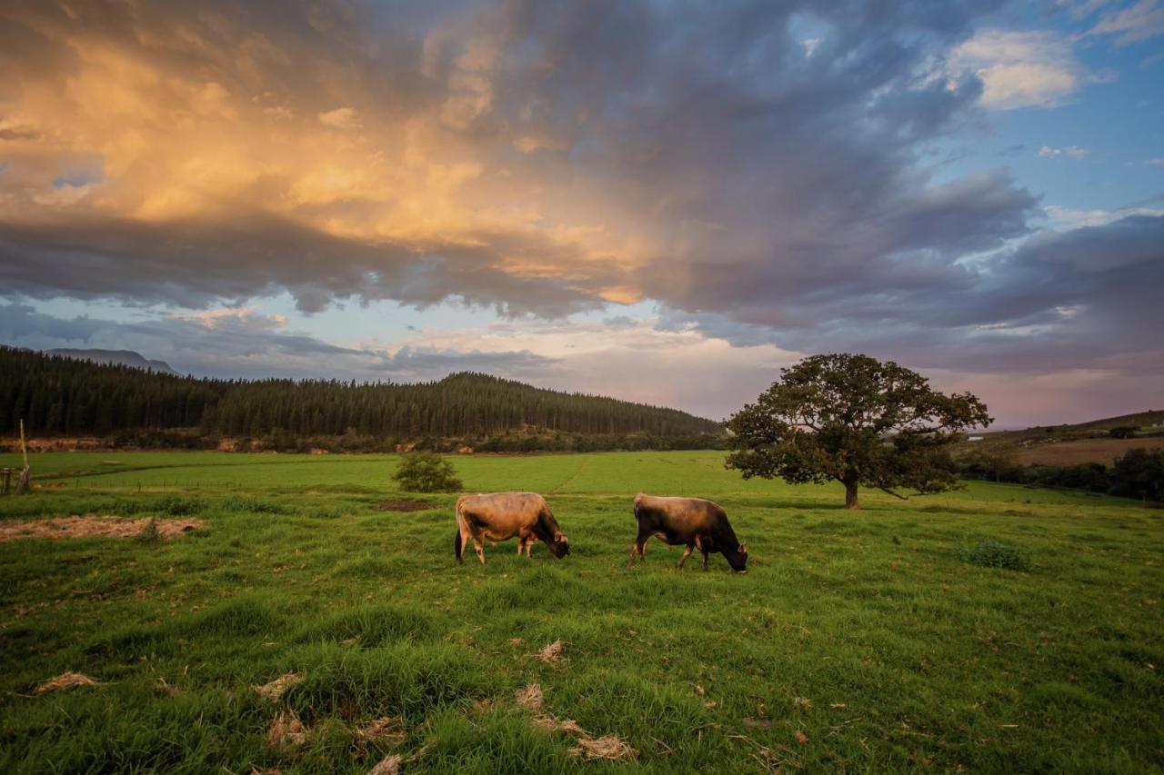Вилла Appelsbosch Guest Farm Свеллендам Экстерьер фото