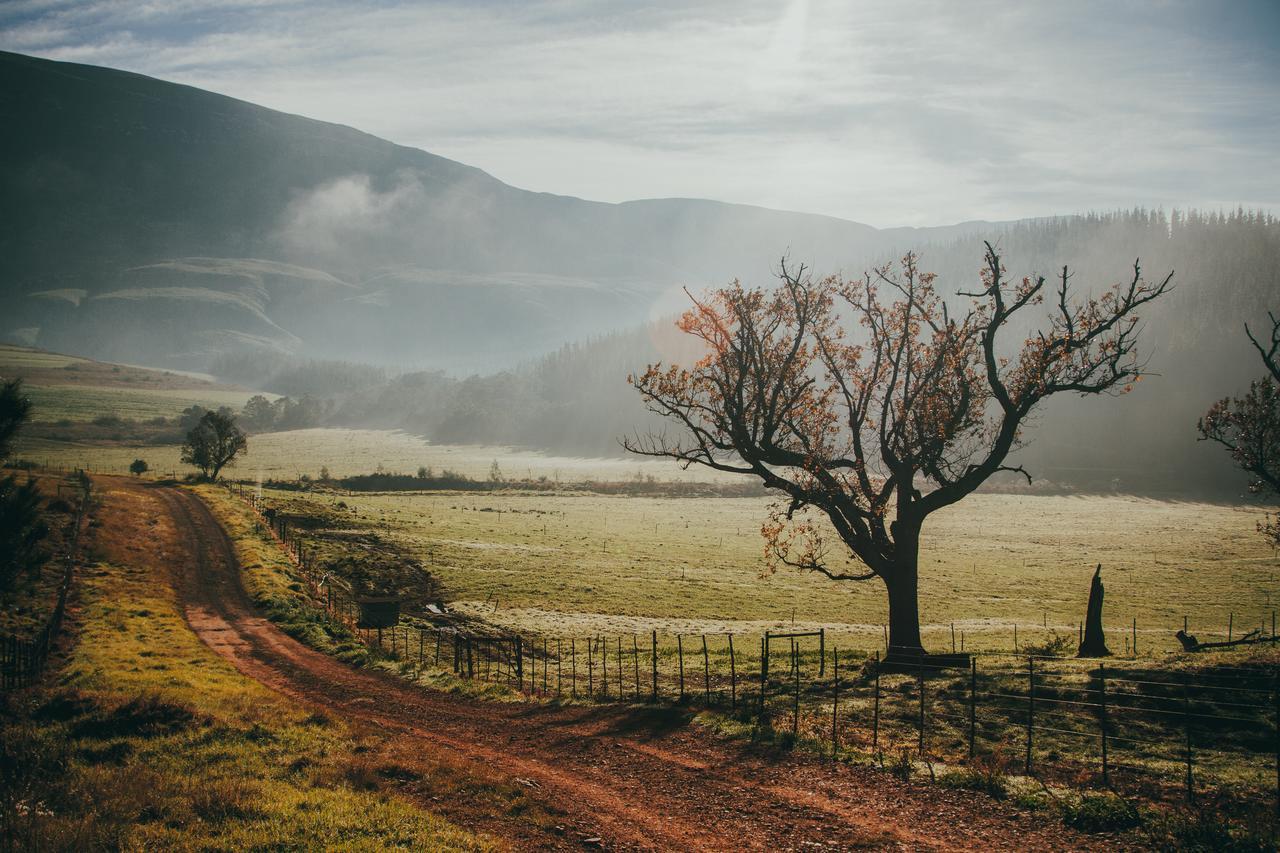 Вилла Appelsbosch Guest Farm Свеллендам Экстерьер фото
